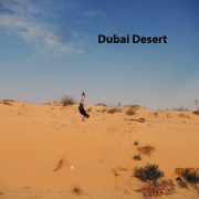 2016 UAE Dubai Desert 3